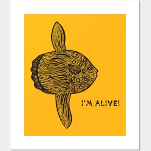 Common Mola or Ocean Sunfish - I'm Alive! - environment design Posters and Art